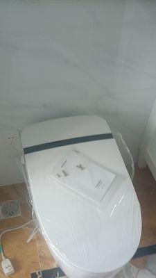 揭秘以浪鲸马桶反臭的原因（解读臭味问题的根源）