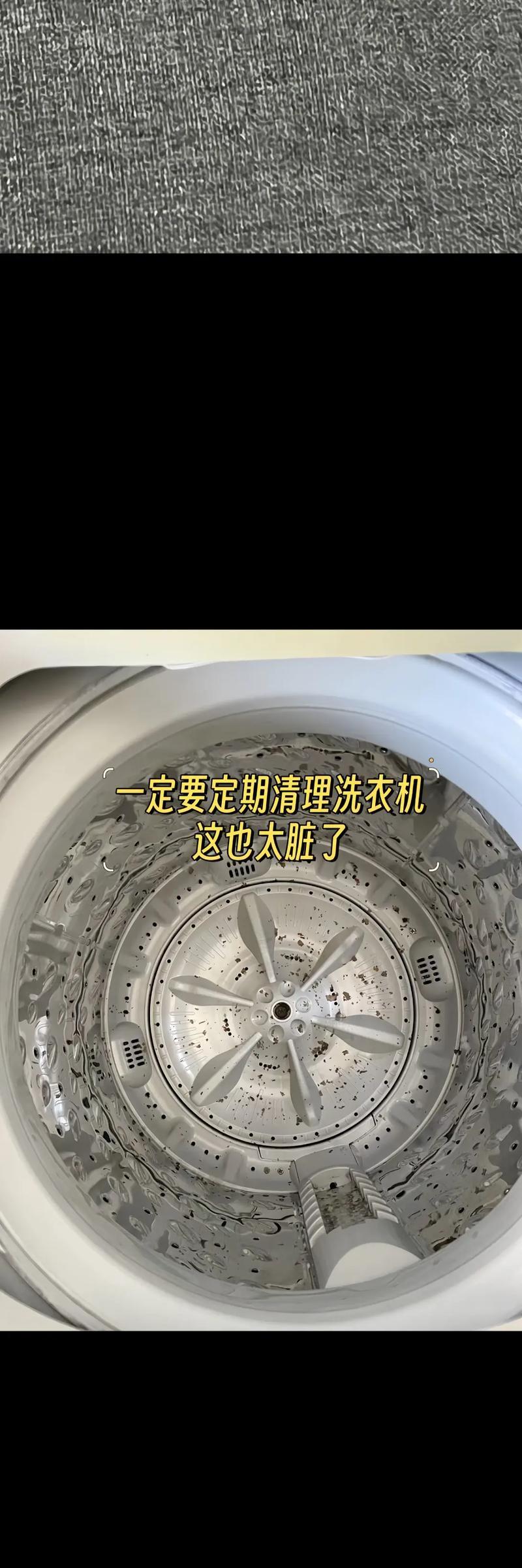 洗衣机无气味什么原因？如何保持洗衣机内部清洁？